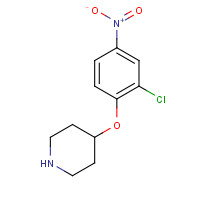 470476-94-9 4-(2-chloro-4-nitrophenoxy)piperidine chemical structure