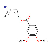 307974-65-8 8-azabicyclo[3.2.1]octan-3-yl 3,4-dimethoxybenzoate chemical structure