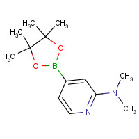 1321518-05-1 N,N-dimethyl-4-(4,4,5,5-tetramethyl-1,3,2-dioxaborolan-2-yl)pyridin-2-amine chemical structure