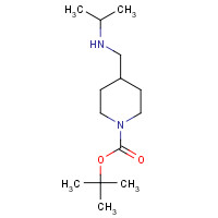 1289387-91-2 tert-butyl 4-[(propan-2-ylamino)methyl]piperidine-1-carboxylate chemical structure