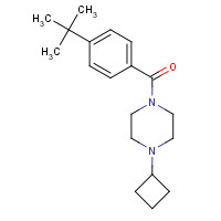 1000405-00-4 (4-tert-butylphenyl)-(4-cyclobutylpiperazin-1-yl)methanone chemical structure