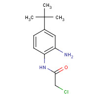 882678-84-4 N-(2-amino-4-tert-butylphenyl)-2-chloroacetamide chemical structure