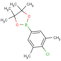 1111096-20-8 2-(4-chloro-3,5-dimethylphenyl)-4,4,5,5-tetramethyl-1,3,2-dioxaborolane chemical structure