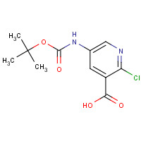 885277-14-5 2-chloro-5-[(2-methylpropan-2-yl)oxycarbonylamino]pyridine-3-carboxylic acid chemical structure
