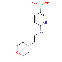 1003043-61-5 [6-(2-morpholin-4-ylethylamino)pyridin-3-yl]boronic acid chemical structure