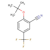 693248-12-3 2-[(2-methylpropan-2-yl)oxy]-5-(trifluoromethyl)benzonitrile chemical structure