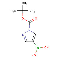 1188405-87-9 [1-[(2-methylpropan-2-yl)oxycarbonyl]pyrazol-4-yl]boronic acid chemical structure