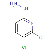 1361399-75-8 (5,6-dichloropyridin-2-yl)hydrazine chemical structure