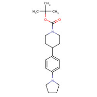 1362205-33-1 tert-butyl 4-(4-pyrrolidin-1-ylphenyl)piperidine-1-carboxylate chemical structure