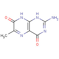 712-38-9 2-amino-6-methyl-1,8-dihydropteridine-4,7-dione chemical structure