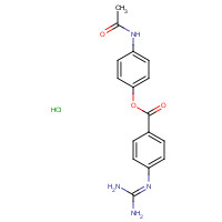 79119-49-6 (4-acetamidophenyl) 4-(diaminomethylideneamino)benzoate;hydrochloride chemical structure