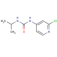 116681-70-0 1-(2-chloropyridin-4-yl)-3-propan-2-ylurea chemical structure
