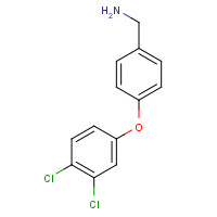 1028352-83-1 [4-(3,4-dichlorophenoxy)phenyl]methanamine chemical structure
