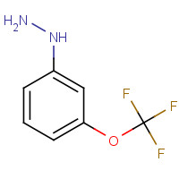 650628-49-2 [3-(trifluoromethoxy)phenyl]hydrazine chemical structure