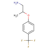 886763-49-1 2-[4-(trifluoromethyl)phenoxy]propan-1-amine chemical structure