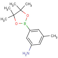 1312535-18-4 3-methyl-5-(4,4,5,5-tetramethyl-1,3,2-dioxaborolan-2-yl)aniline chemical structure