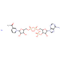 102029-67-4 [[5-(3-acetylpyridin-1-ium-1-yl)-3,4-dihydroxyoxolan-2-yl]methoxy-hydroxyphosphoryl] [5-(6-aminopurin-9-yl)-4-hydroxy-3-phosphonooxyoxolan-2-yl]methyl hydrogen phosphate;sodium chemical structure