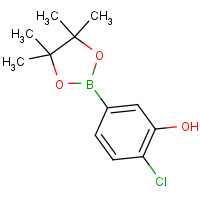 1443151-85-6 2-chloro-5-(4,4,5,5-tetramethyl-1,3,2-dioxaborolan-2-yl)phenol chemical structure