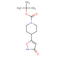 782493-42-9 tert-butyl 4-(3-oxo-1,2-oxazol-5-yl)piperidine-1-carboxylate chemical structure