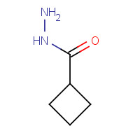98069-56-8 cyclobutanecarbohydrazide chemical structure