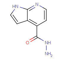 1004303-83-6 1H-pyrrolo[2,3-b]pyridine-4-carbohydrazide chemical structure
