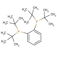 215951-98-7 ditert-butyl-(2-ditert-butylphosphanylphenyl)phosphane chemical structure