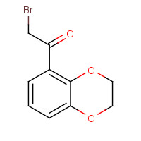 19815-97-5 2-bromo-1-(2,3-dihydro-1,4-benzodioxin-5-yl)ethanone chemical structure
