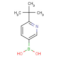 1174312-53-8 (6-tert-butylpyridin-3-yl)boronic acid chemical structure