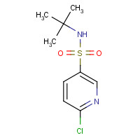 622797-98-2 N-tert-butyl-6-chloropyridine-3-sulfonamide chemical structure
