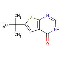 439692-54-3 6-tert-butyl-3H-thieno[2,3-d]pyrimidin-4-one chemical structure