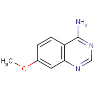21560-97-4 7-methoxyquinazolin-4-amine chemical structure