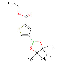 1207557-61-6 ethyl 4-(4,4,5,5-tetramethyl-1,3,2-dioxaborolan-2-yl)thiophene-2-carboxylate chemical structure