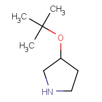 1247110-73-1 3-[(2-methylpropan-2-yl)oxy]pyrrolidine chemical structure