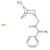 5978-81-4 (8-methyl-8-azabicyclo[3.2.1]octan-3-yl) 2-phenylprop-2-enoate;hydrochloride chemical structure