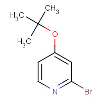 1086381-34-1 2-bromo-4-[(2-methylpropan-2-yl)oxy]pyridine chemical structure
