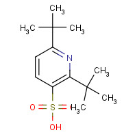 92423-50-2 2,6-ditert-butylpyridine-3-sulfonic acid chemical structure