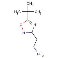 915702-27-1 2-(5-tert-butyl-1,2,4-oxadiazol-3-yl)ethanamine chemical structure