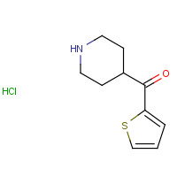 219540-76-8 piperidin-4-yl(thiophen-2-yl)methanone;hydrochloride chemical structure