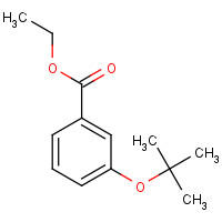 350689-01-9 ethyl 3-[(2-methylpropan-2-yl)oxy]benzoate chemical structure