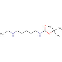 883555-11-1 tert-butyl N-[5-(ethylamino)pentyl]carbamate chemical structure