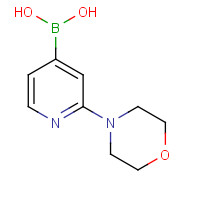 952206-85-8 (2-morpholin-4-ylpyridin-4-yl)boronic acid chemical structure