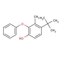 307000-42-6 4-tert-butyl-3-methyl-2-phenoxyphenol chemical structure