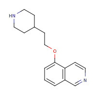 1430563-89-5 5-(2-piperidin-4-ylethoxy)isoquinoline chemical structure
