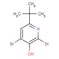 1196074-26-6 2,4-dibromo-6-tert-butylpyridin-3-ol chemical structure