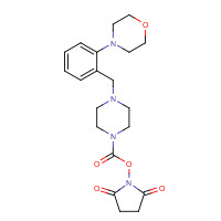 1460030-17-4 (2,5-dioxopyrrolidin-1-yl) 4-[(2-morpholin-4-ylphenyl)methyl]piperazine-1-carboxylate chemical structure