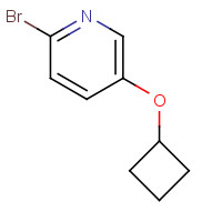 1177269-07-6 2-bromo-5-cyclobutyloxypyridine chemical structure
