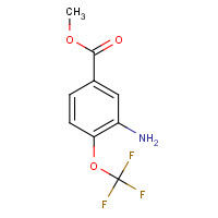 721-09-5 methyl 3-amino-4-(trifluoromethoxy)benzoate chemical structure