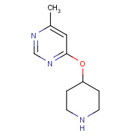 1208254-87-8 4-methyl-6-piperidin-4-yloxypyrimidine chemical structure