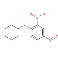 509094-03-5 4-(cyclohexylamino)-3-nitrobenzaldehyde chemical structure