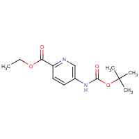 1078129-19-7 ethyl 5-[(2-methylpropan-2-yl)oxycarbonylamino]pyridine-2-carboxylate chemical structure